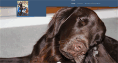 Desktop Screenshot of diederichsen.com