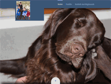 Tablet Screenshot of diederichsen.com